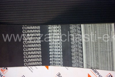 4016043 Приводной ребристый ремень для Cummins QSK60