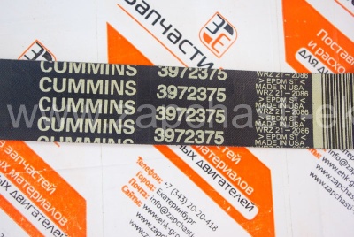 3972375 Приводной ребристый ремень для Cummins C8.3
