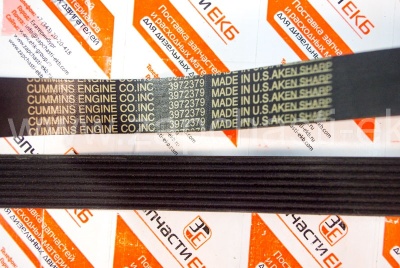 3972379 Приводной ребристый ремень для Cummins C8.3